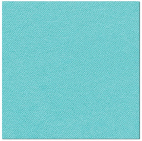 14021 obrusky airlaid 40x40 cm 50ks mentol