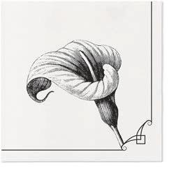 19460 1 obrusky airlaid 40x40 cm 50ks cierna anturia