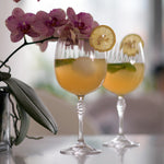 bormioli rocco america 20s 25.25oz gin tonic cocktail glasses 2 2400x