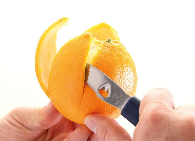 Alternativní text obrázku