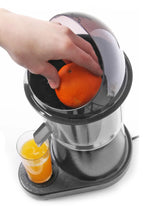 lis na citrusy 1500 otáčok